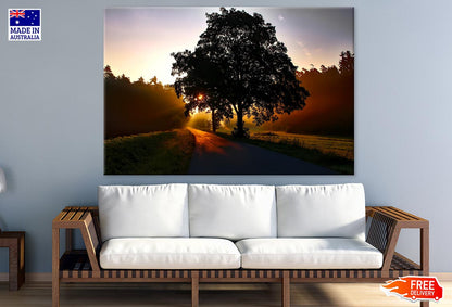 Sunrays & Road with Tree Row Photograph Print 100% Australian Made