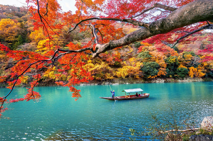 Autumn Tree Near Lake with Boat Photograph Print 100% Australian Made