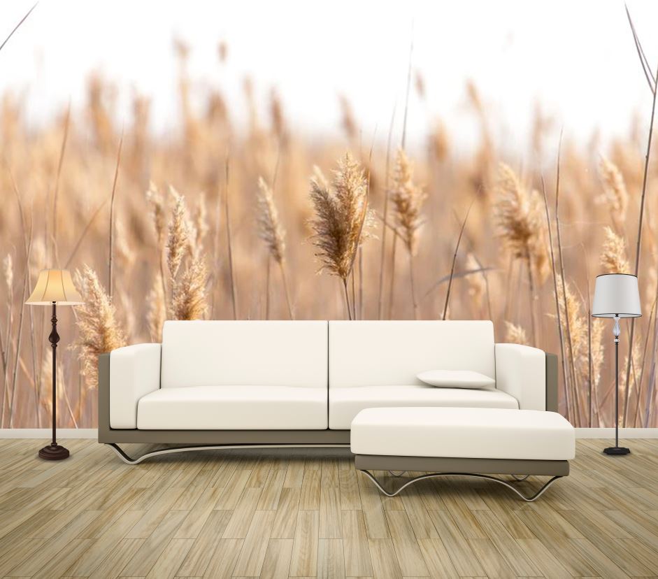 Wallpaper Murals Peel and Stick Removable Stunning Field Photograph High Quality