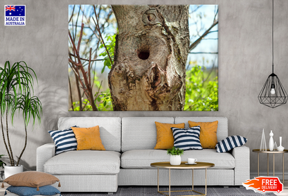 Hardwood Forest & Trees Photograph Print 100% Australian Made