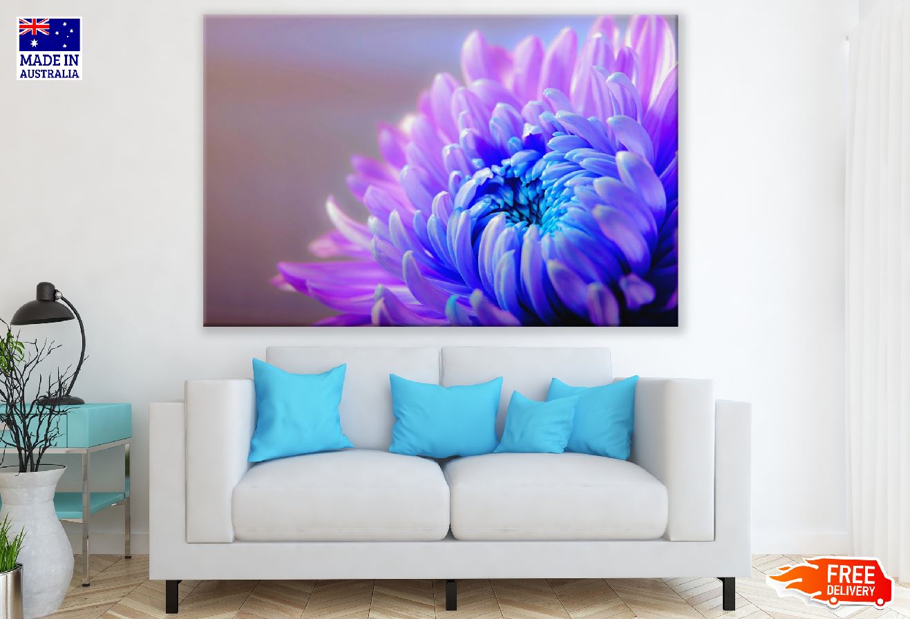 Purple Blue Chrysanthemum Flower Closeup Photograph Print 100% Australian Made
