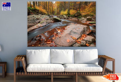 Mountain River in the Autumn Forest Photograph Print 100% Australian Made