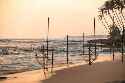 Beach & Sunset View Print 100% Australian Made