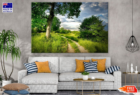Pathway in Forest View Photograph Print 100% Australian Made