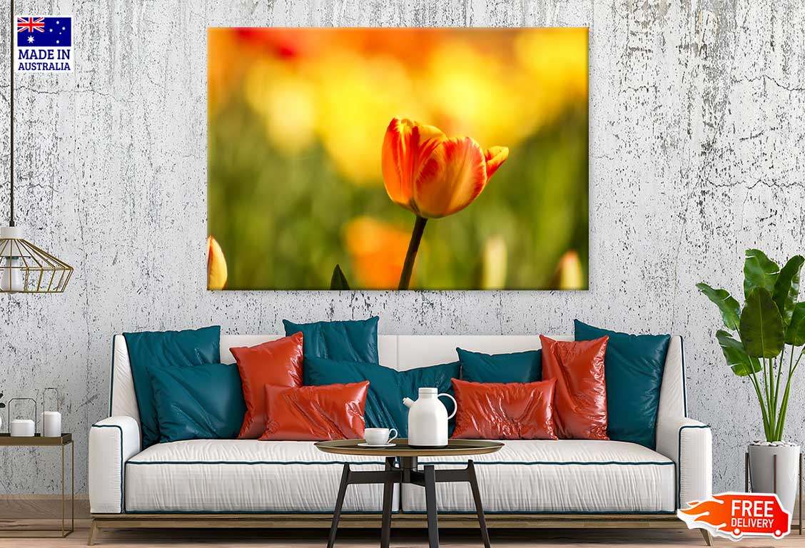 Orange Tulip Closeup View Photograph Print 100% Australian Made