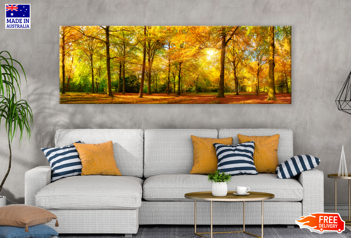 Panoramic Canvas Autumn Forest Sunrise High Quality 100% Australian made wall Canvas Print ready to hang