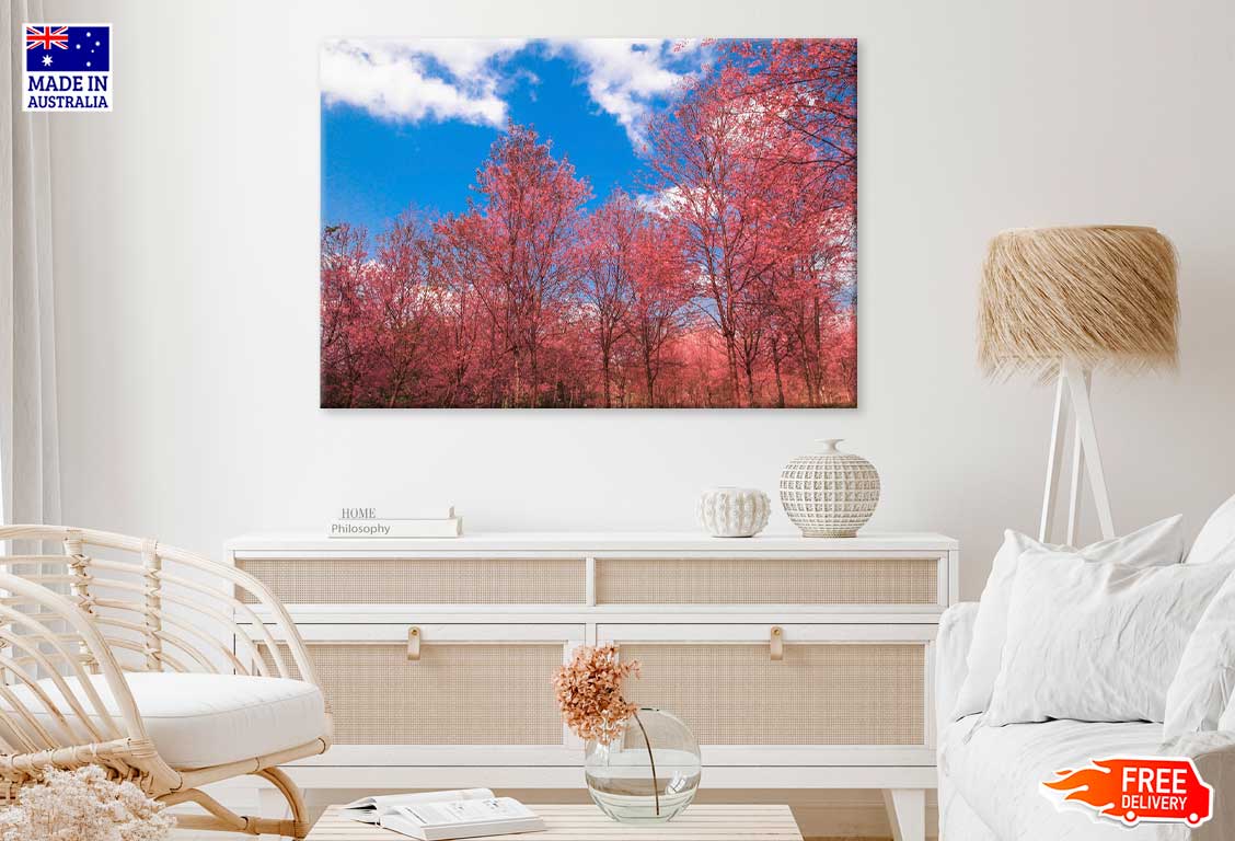Pink Autumn Trees & Blue Sky Photograph Print 100% Australian Made
