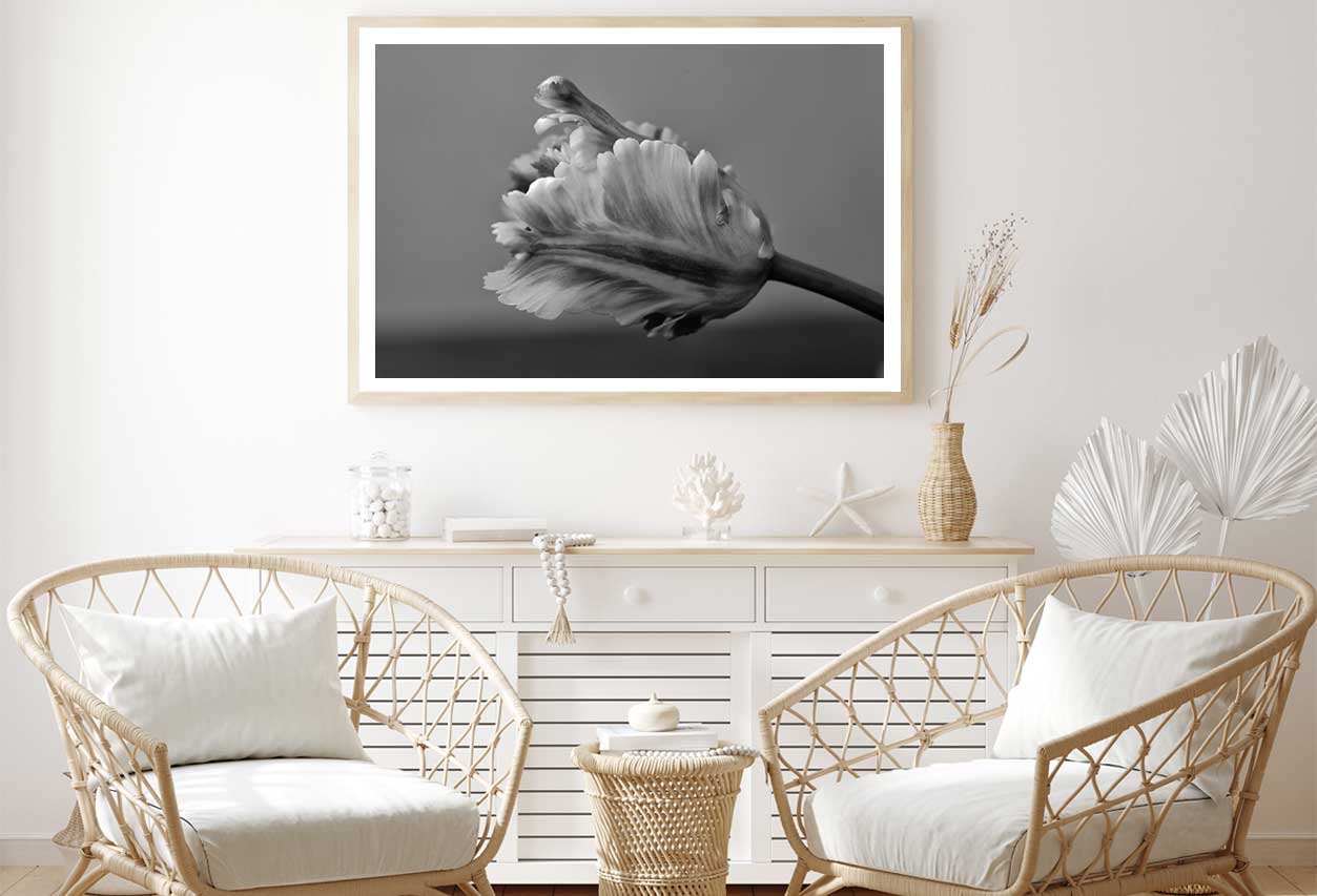 Parrot Tulip B&W View Photograph Home Decor Premium Quality Poster Print Choose Your Sizes