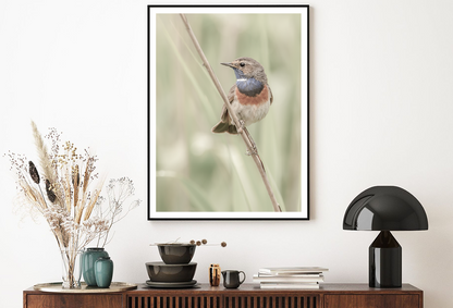 Sparrow Bird on Branch Photograph Home Decor Premium Quality Poster Print Choose Your Sizes