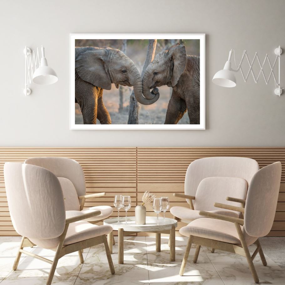 Elephant Portrait Photograph Home Decor Premium Quality Poster Print Choose Your Sizes