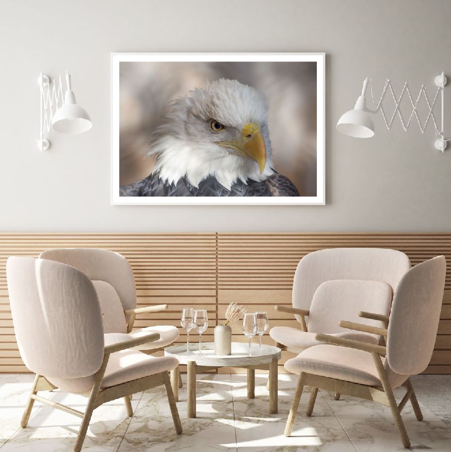 Eagle Face Portrait Photograph Home Decor Premium Quality Poster Print Choose Your Sizes