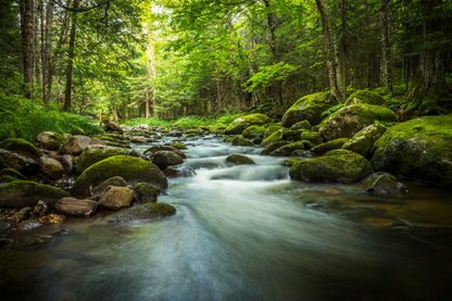 Rocks On Waterfall & Trees View Photograph Print 100% Australian Made