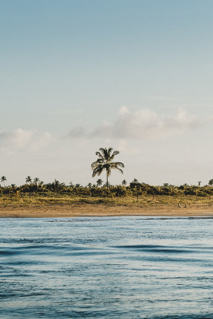 Palm Trees Beach Cloudy Sky View Photograph Print 100% Australian Made