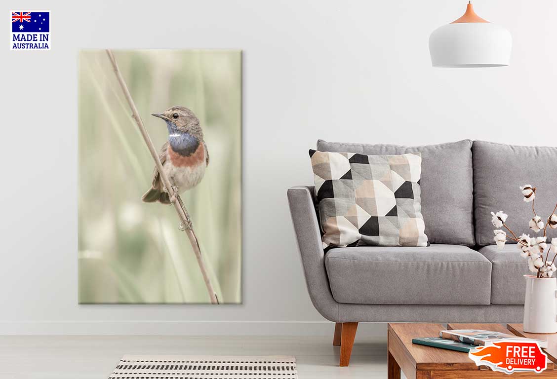 Sparrow Bird on Branch Photograph Print 100% Australian Made