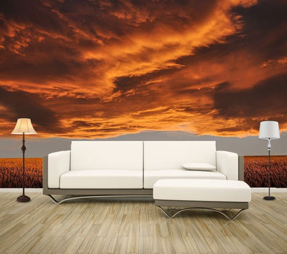 Wallpaper Murals Peel and Stick Removable Field in Sunset High Quality