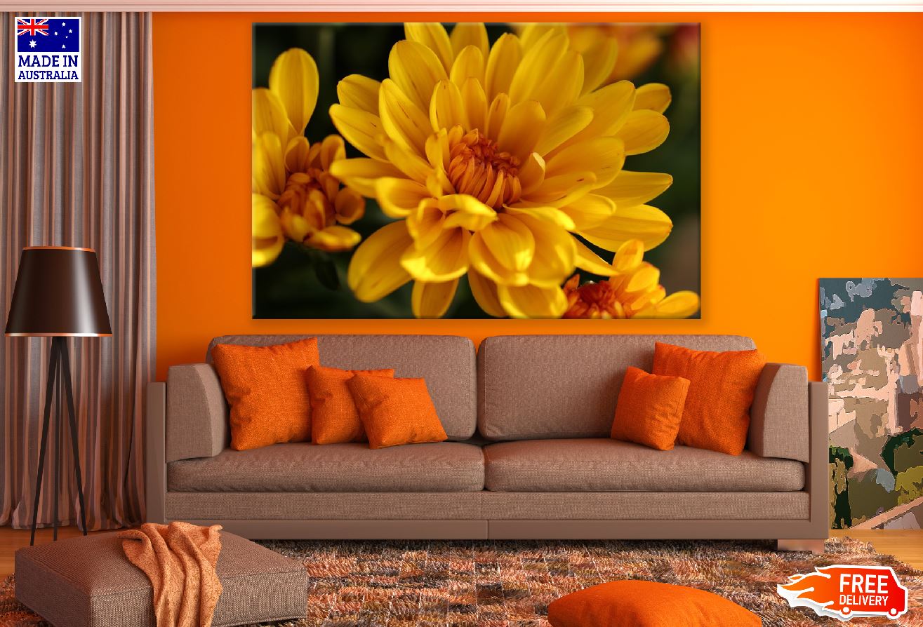 Yellow Chrysanthemum Flower Photograph Print 100% Australian Made