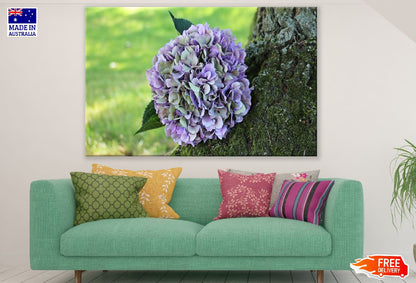 White & Purple Hydrangea Flower Closeup Photograph Print 100% Australian Made