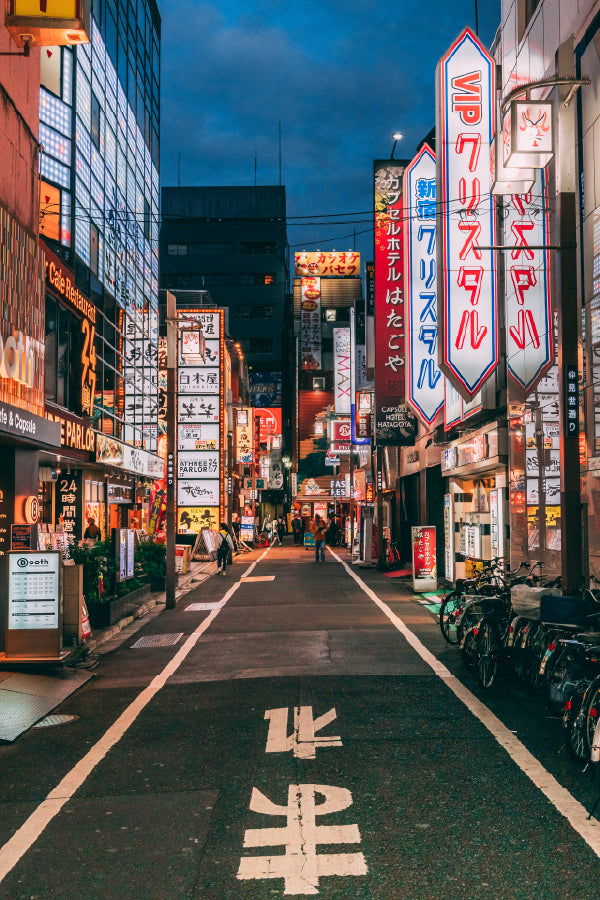 Street Shinjuku District View Photograph in Tokyo Home Decor Premium Quality Poster Print Choose Your Sizes