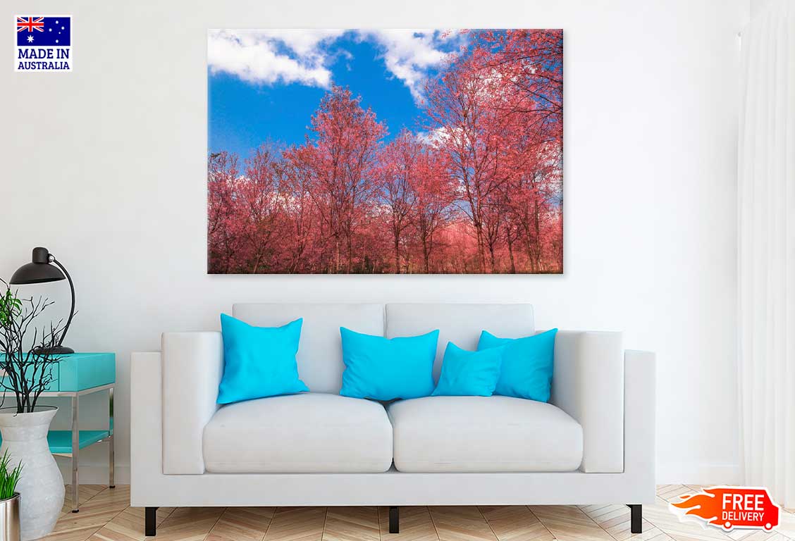 Pink Autumn Trees & Blue Sky Photograph Print 100% Australian Made
