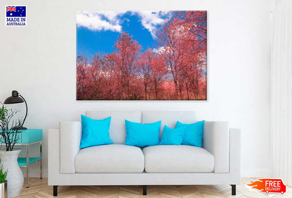 Pink Autumn Trees & Blue Sky Photograph Print 100% Australian Made