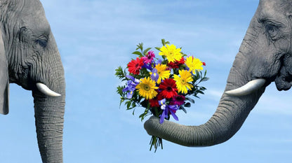 Elephants & Bouquet Photograph Home Decor Premium Quality Poster Print Choose Your Sizes