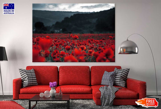 Poppy Field in Dark Photograph Print 100% Australian Made
