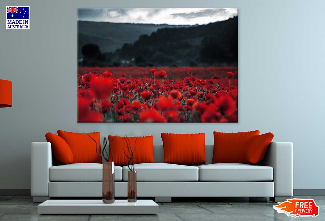 Poppy Field in Dark Photograph Print 100% Australian Made