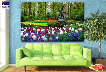 Tulip Flower Field Photograph Print 100% Australian Made