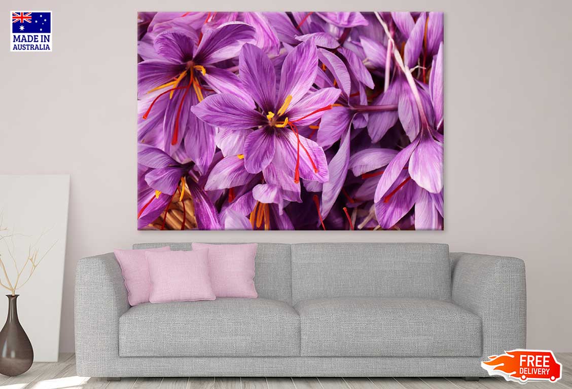 Purple Safrom Flowers Photograph Print 100% Australian Made