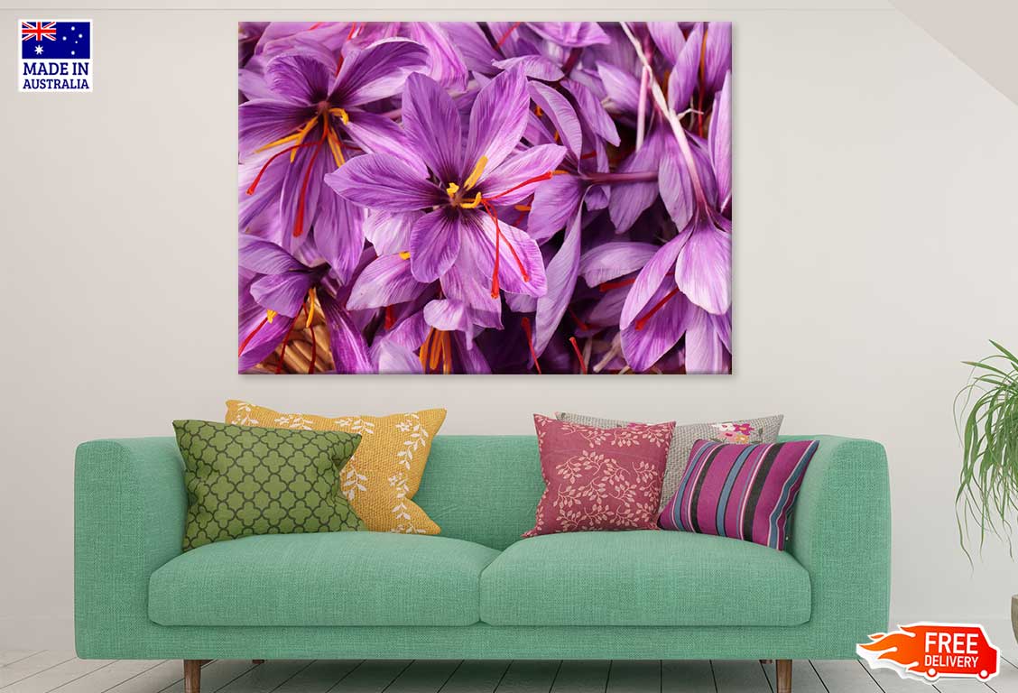 Purple Safrom Flowers Photograph Print 100% Australian Made