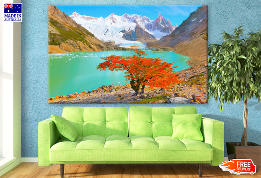 Autumn Tree by the Lake near Cerro Torre Mountain Print 100% Australian Made