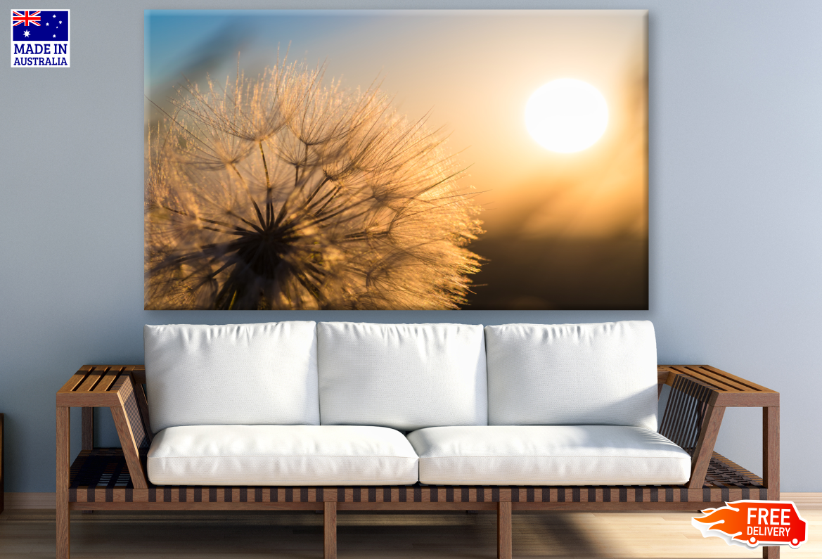 Dandelion Closeup Against Sun & Sky During the Dawn Photograph Print 100% Australian Made