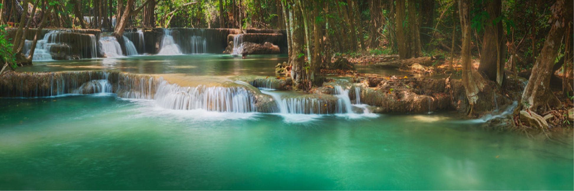 Panoramic Canvas Water Stream in Forest Photograph High Quality 100% Australian made wall Canvas Print ready to hang