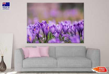 Purple Violet Flowers Photograph Print 100% Australian Made