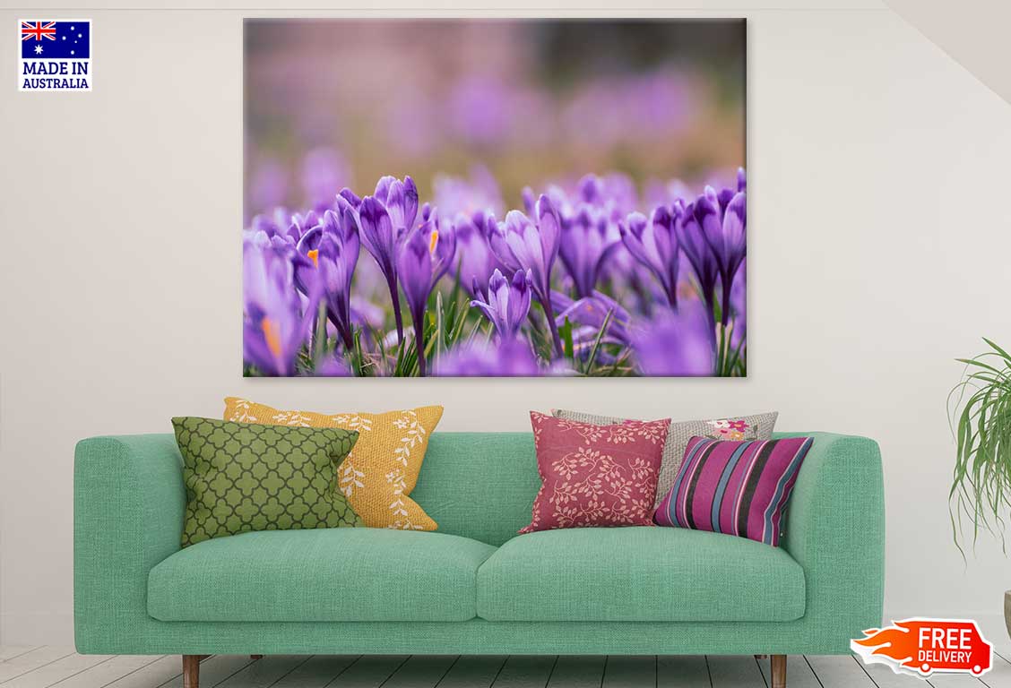 Purple Violet Flowers Photograph Print 100% Australian Made