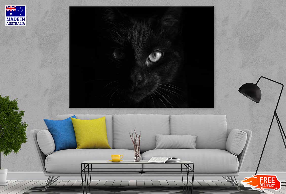 Black Cat Eye B&W View Photograph Print 100% Australian Made