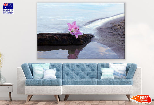 White & Pink Lily Flower on Sea Shore Photograph Print 100% Australian Made