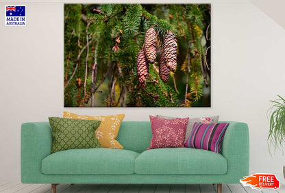 Pine Tree Closeup Photograph Print 100% Australian Made