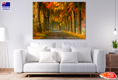 Autumn Trees & Walking Path Photograph Print 100% Australian Made