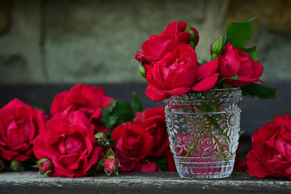 Red Roses in Flower Vase Closeup Photograph Print 100% Australian Made