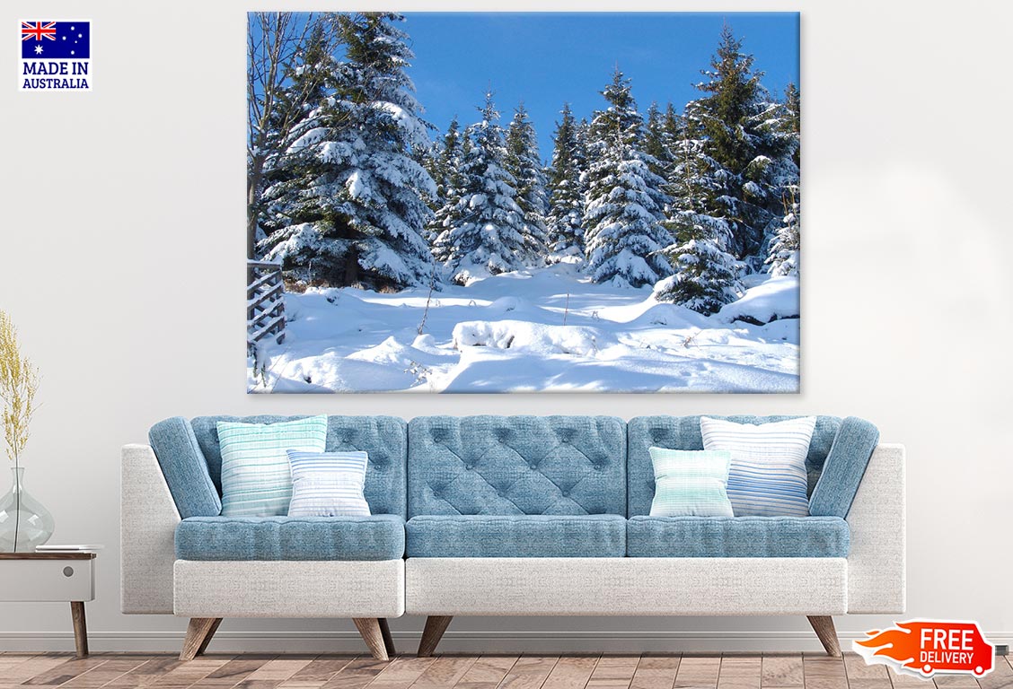 Snow Covered Forest Photograph Print 100% Australian Made