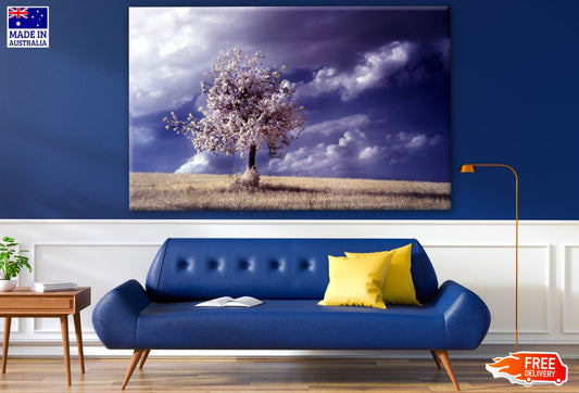 Tree on Meadow with Stunning Cloudy Sky Photograph Print 100% Australian Made