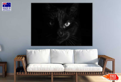 Black Cat Eye B&W View Photograph Print 100% Australian Made