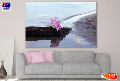 White & Pink Lily Flower on Sea Shore Photograph Print 100% Australian Made
