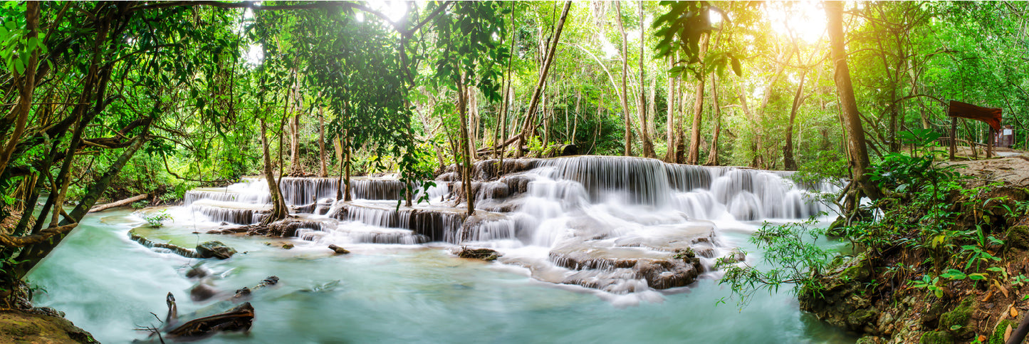 Panoramic Canvas Forest Waterfall View Photograph High Quality 100% Australian Made Wall Canvas Print Ready to Hang