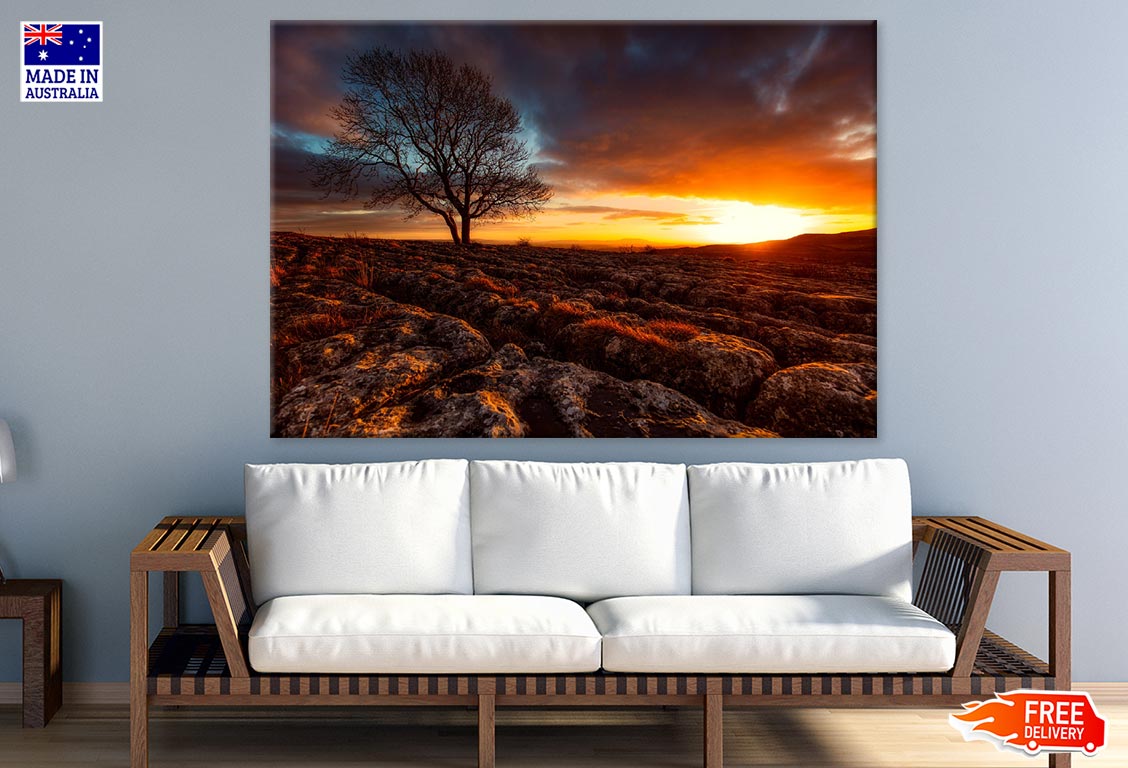 Tree at Sunset Scenery View Photograph Print 100% Australian Made