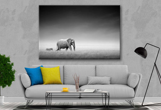 Bella Home B&W Elephant & Zebra Walking Together Print Canvas Ready to hang