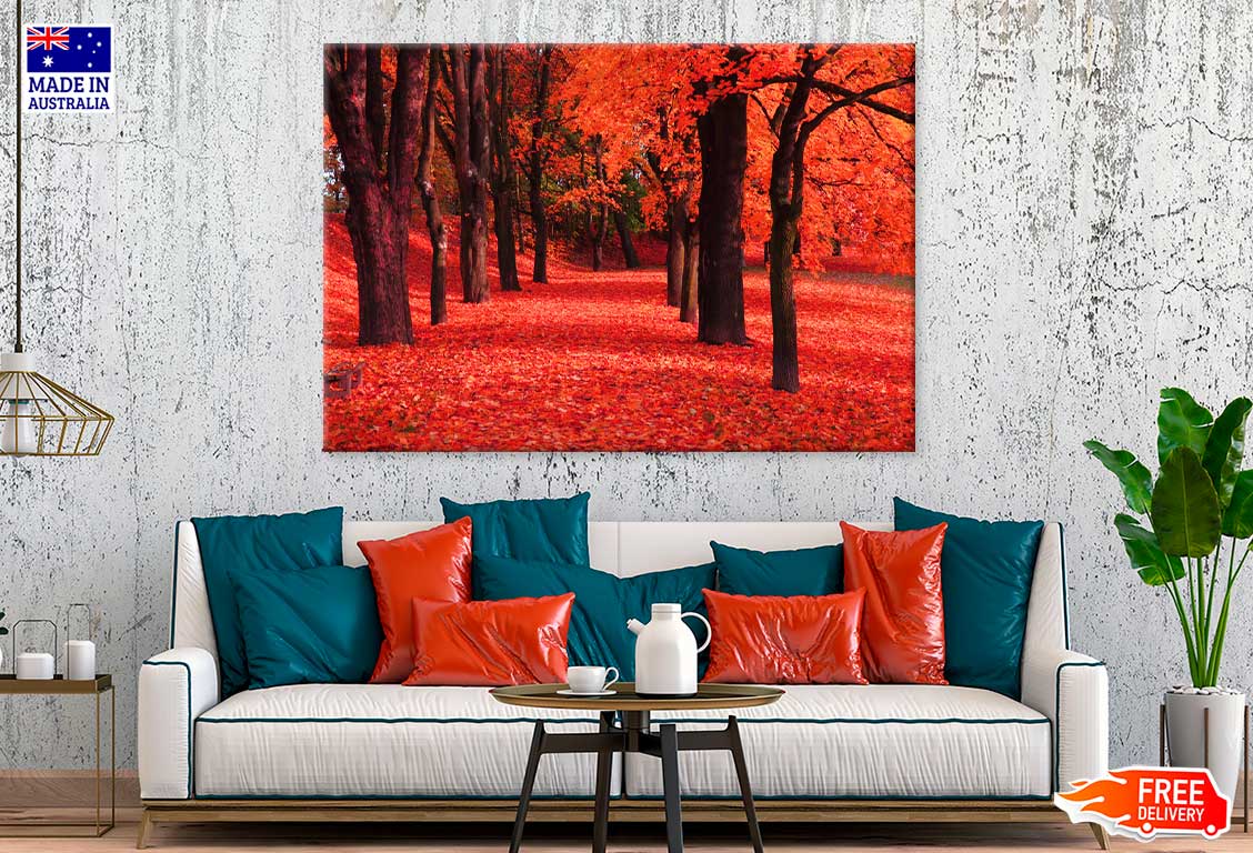Red Autumn Trees & Path Scenery View Photograph Print 100% Australian Made