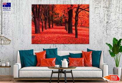 Red Autumn Trees & Path Scenery View Photograph Print 100% Australian Made