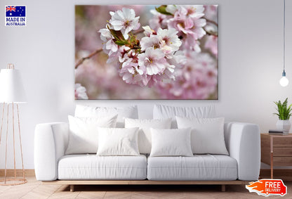 Ornamental Cherry Blossom Flowers & Leaves Photograph Print 100% Australian Made